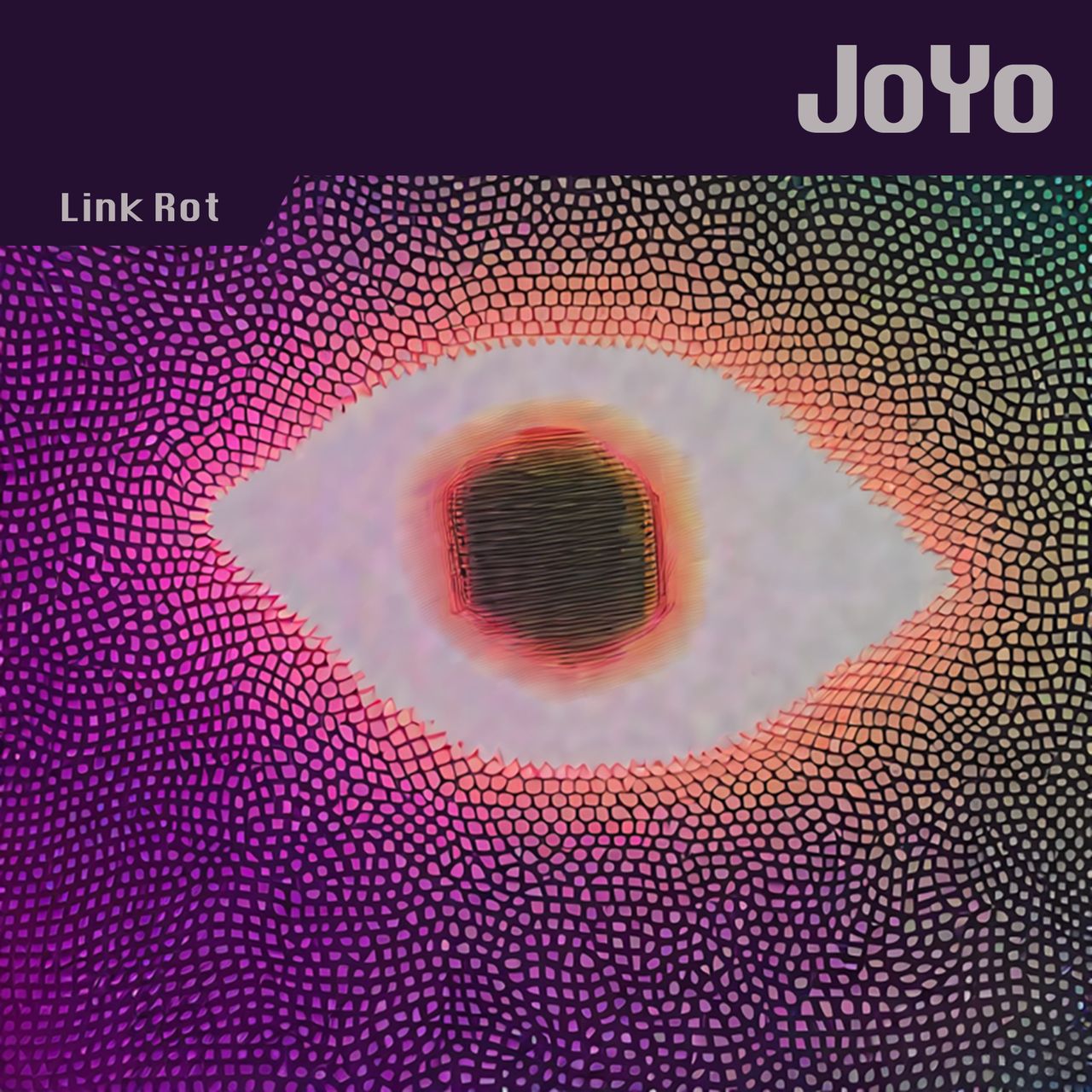 A fragemented neon eye.