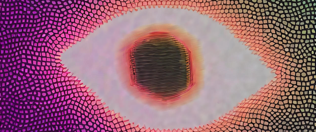 A fragemented neon eye.